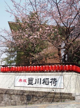 境内の桜1.JPG